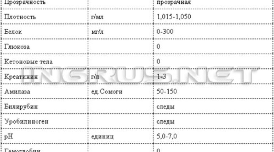 Анализы у собак. Расшифровка